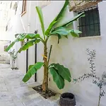 Πανσιόν Garibaldi
