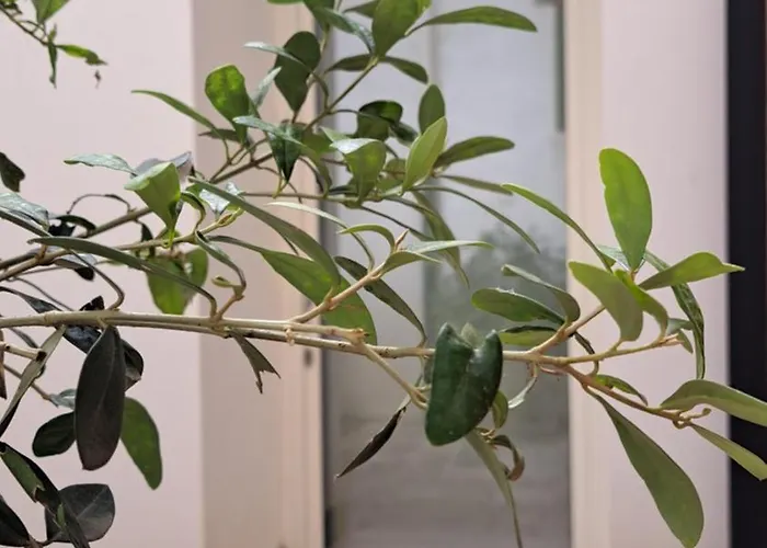 Guest house Garibaldi